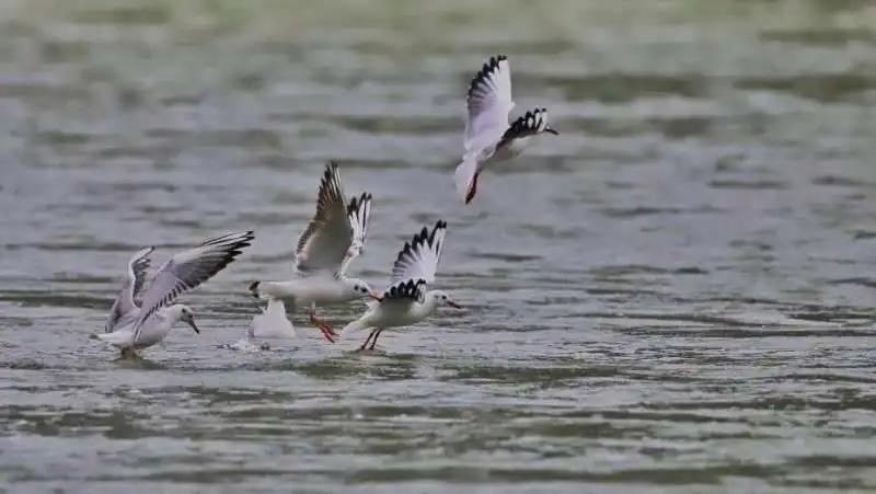 281606_1605789231426428.jpg 微信图片_20201119203141.jpg