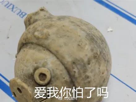 281877_1596025811685406.jpg 16.jpg