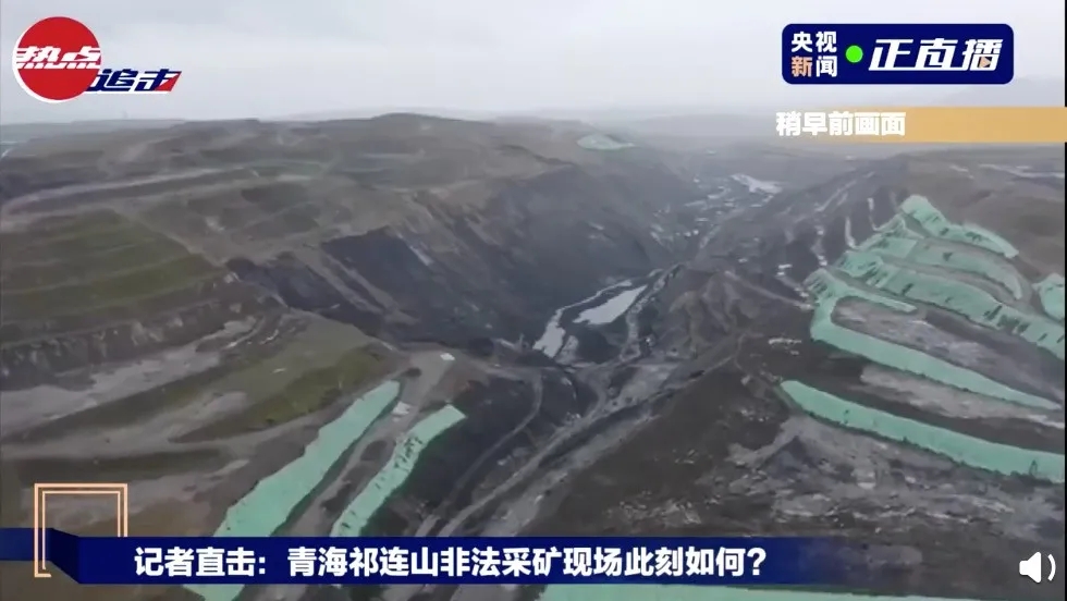 280037_1598529901274178.jpg 640.webp (1).jpg