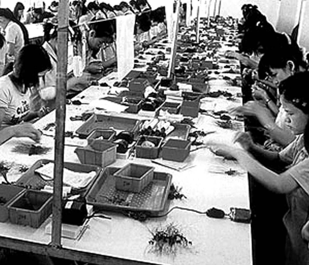 280037_1600656291663545.jpg 1600613357173062281.jpg