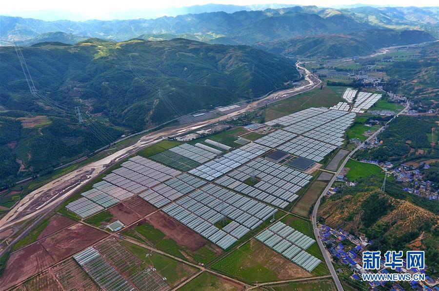 （走向我们的小康生活·决战决胜脱贫攻坚·图文互动）（2）把产业兴盛之“根”扎进大凉山