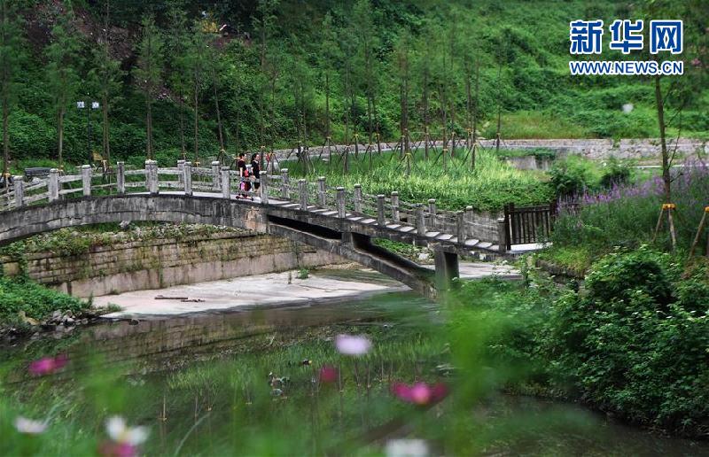 （新华全媒头条·图文互动）（11）西部有个新的“圈”——成渝加快双城经济圈建设