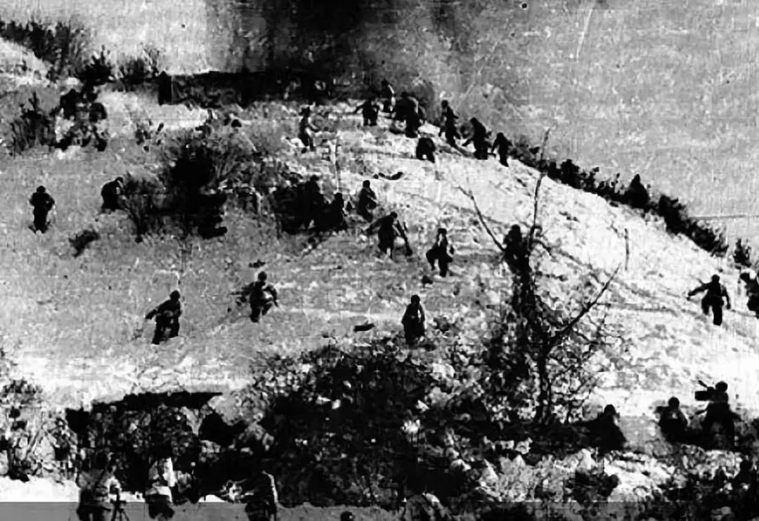 281877_1601163991736752.jpg 5.jpg