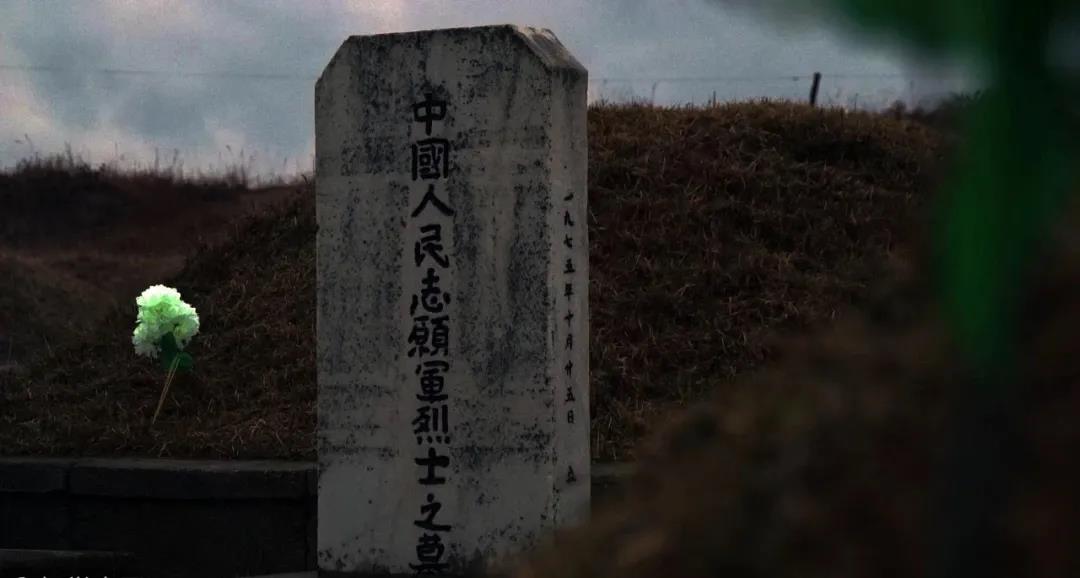 281877_1601164003834001.jpg 6.jpg