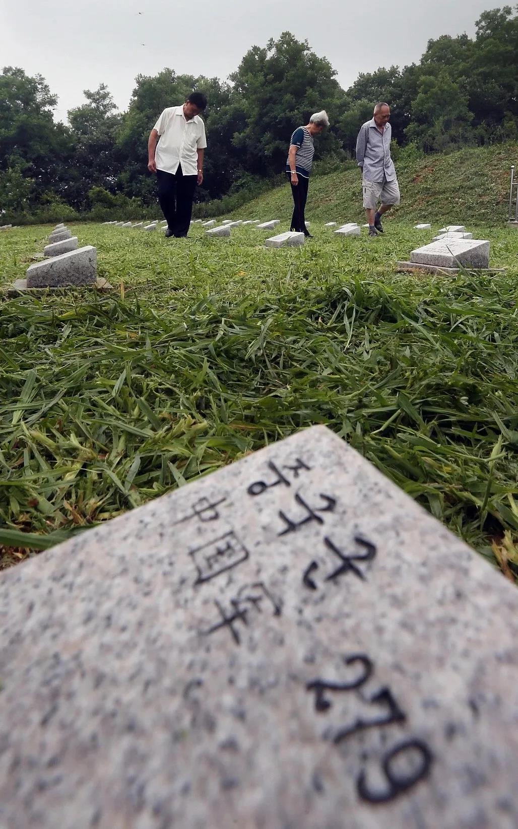 281877_1601164045715177.jpg 8.jpg