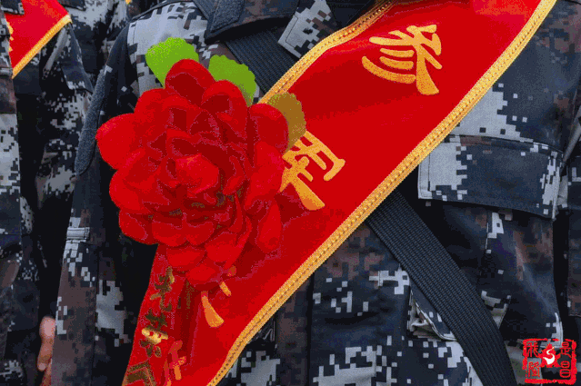 011.gif
