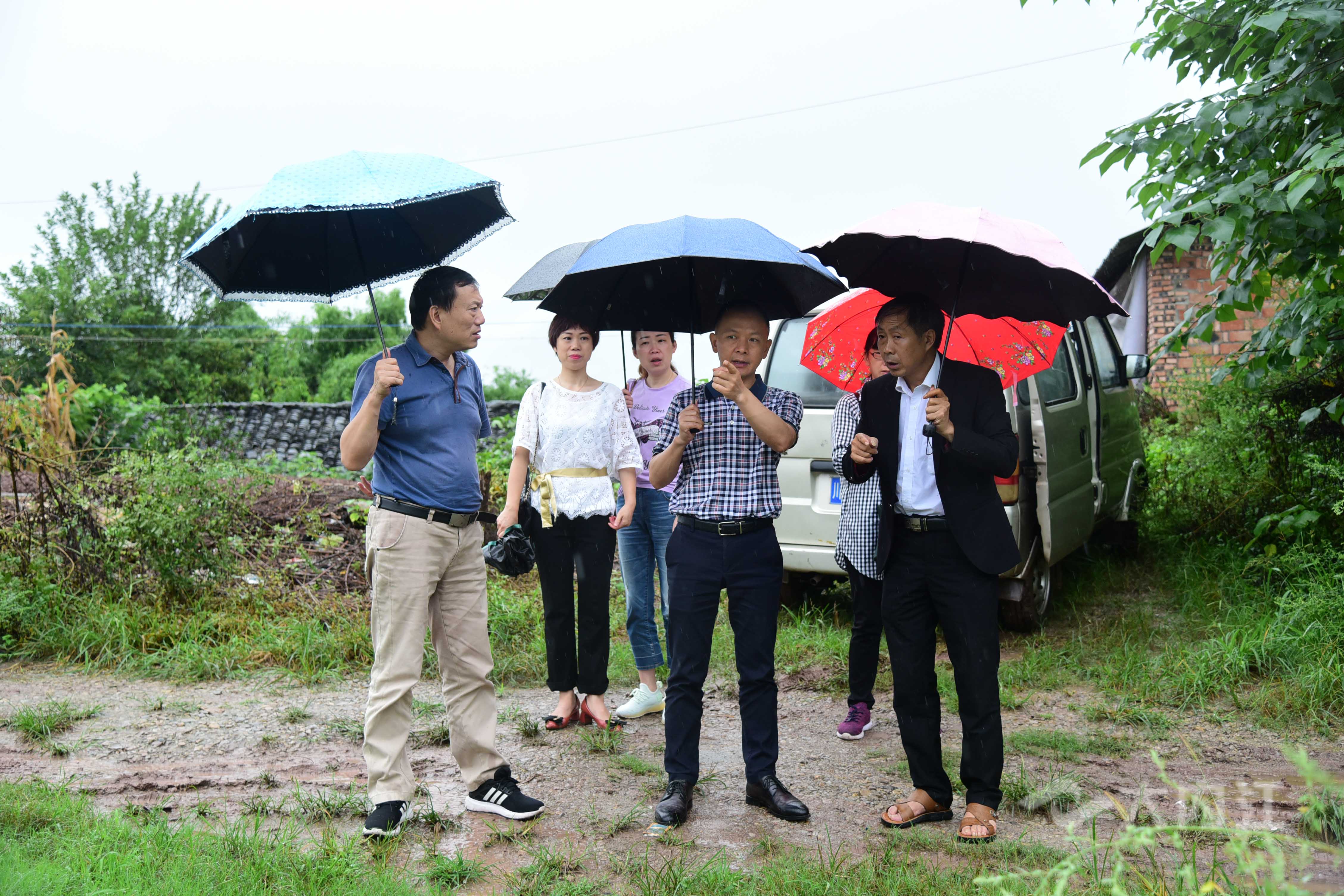 281877_1603786411823329.jpg 阮履强在食丰村调研脱贫攻坚工作.jpg