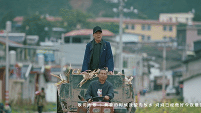 7.gif
