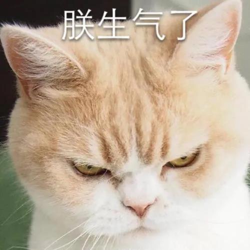 269955_1606223775483497.jpg 微信图片_20201124211535.jpg