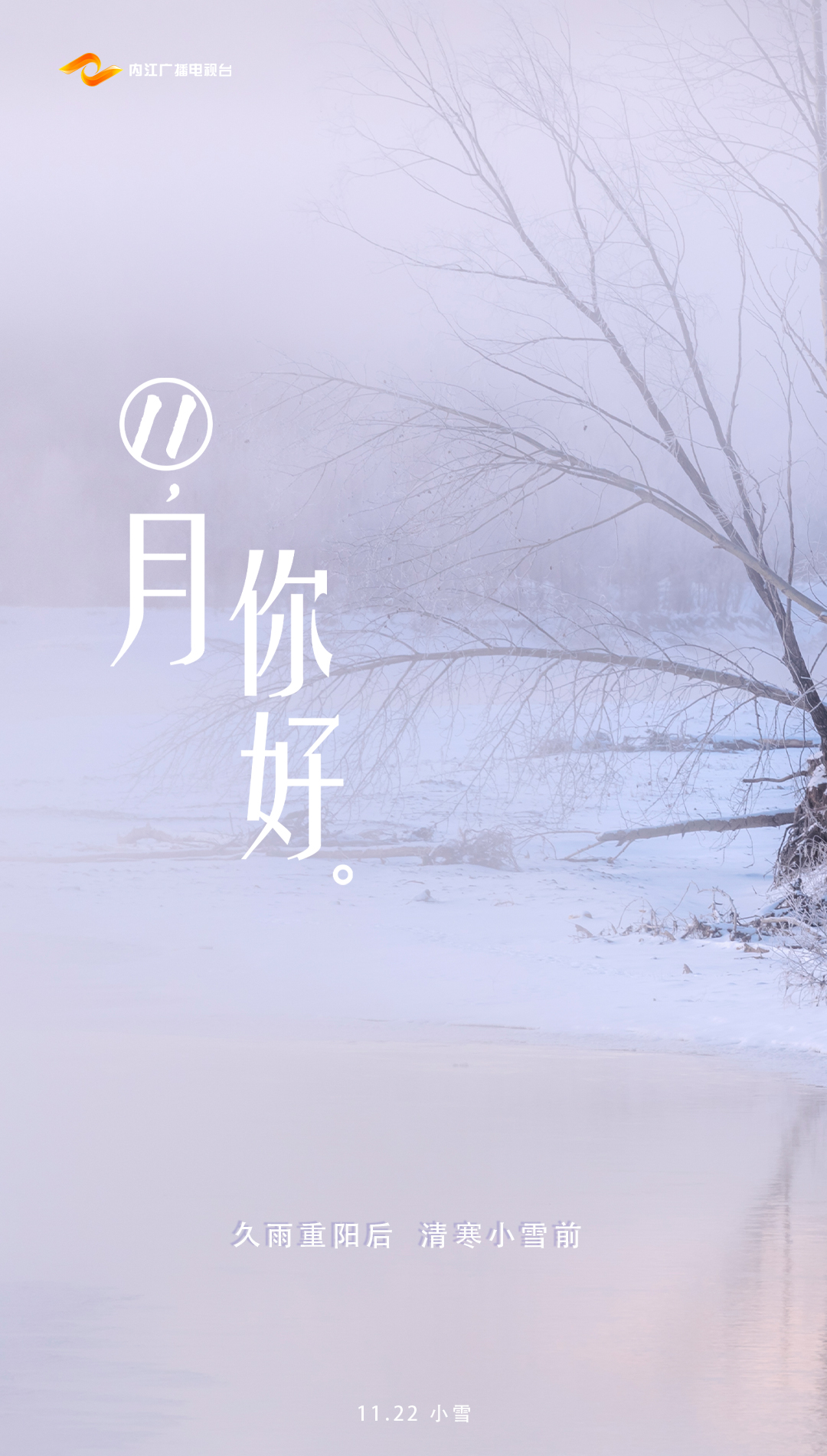 11月5.jpg