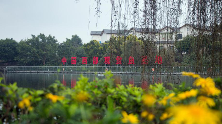 281606_1604448519416902.png 图片2.png
