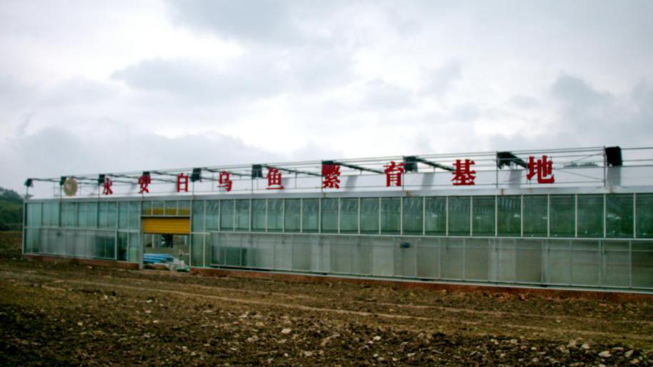 281606_1604448533506923.png 图片3.png