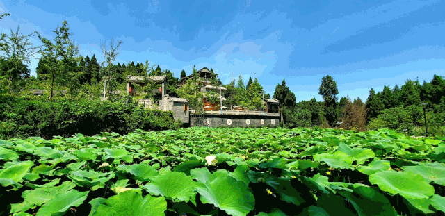 281876_1604320235610623.gif 微信图片_20201102204027.gif