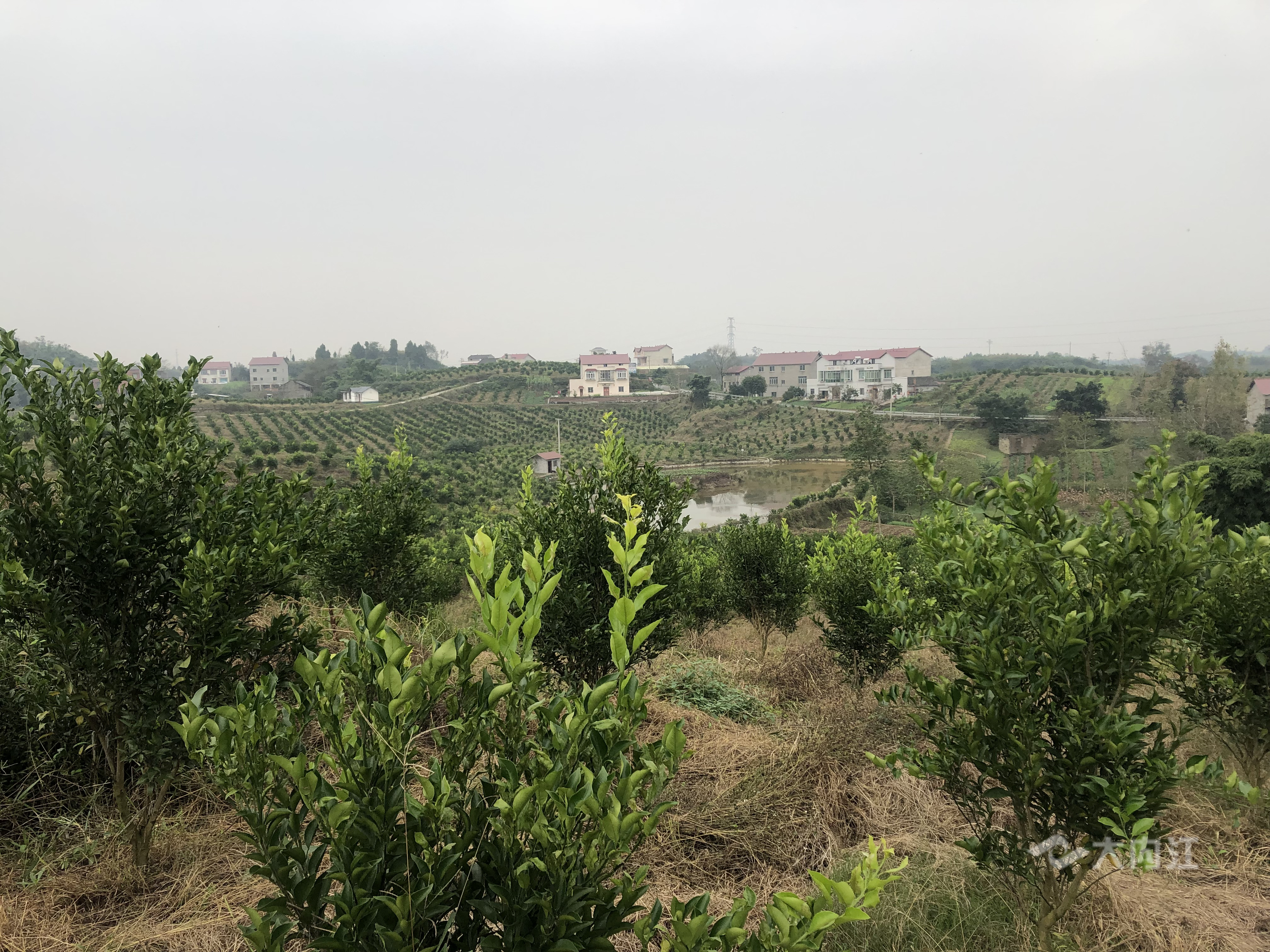281876_1604633819609488.jpg QQ图片20201106113359.jpg