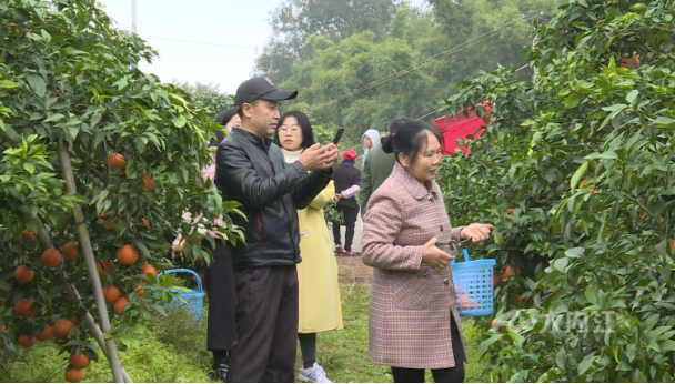 微信图片_20201122085020.png