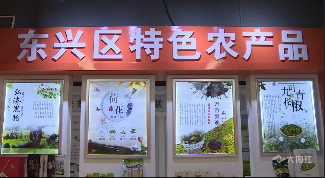 282377_1605160269221885.png 黑猪1.png