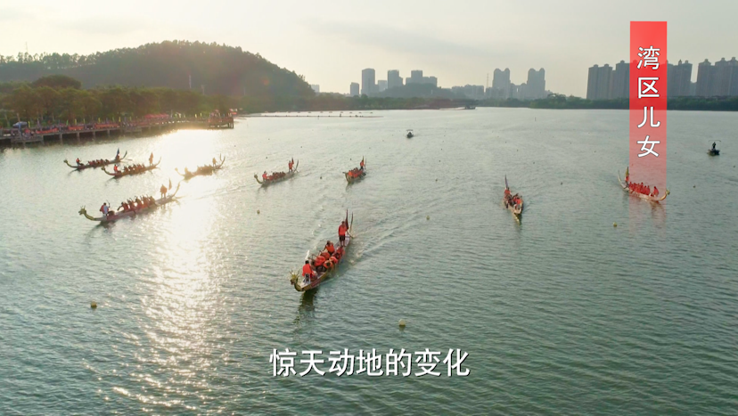 湾区5.png