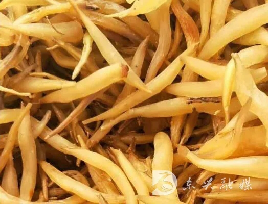 281606_1610252298847637.jpg 微信图片_20210110121450.jpg