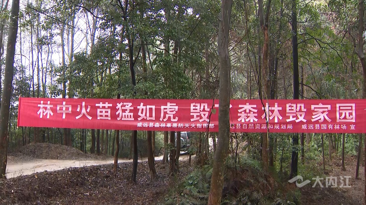 QQ图片20210113112358.jpg