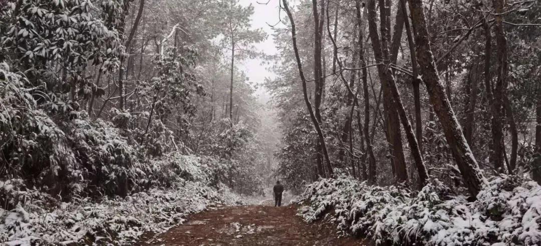 282377_1610096334266267.jpg 雪2.jpg
