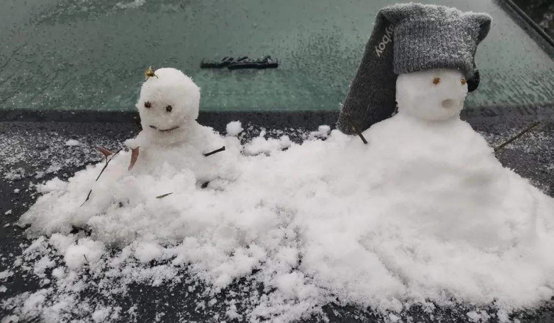 282377_1610096353567858.jpg 雪4.jpg