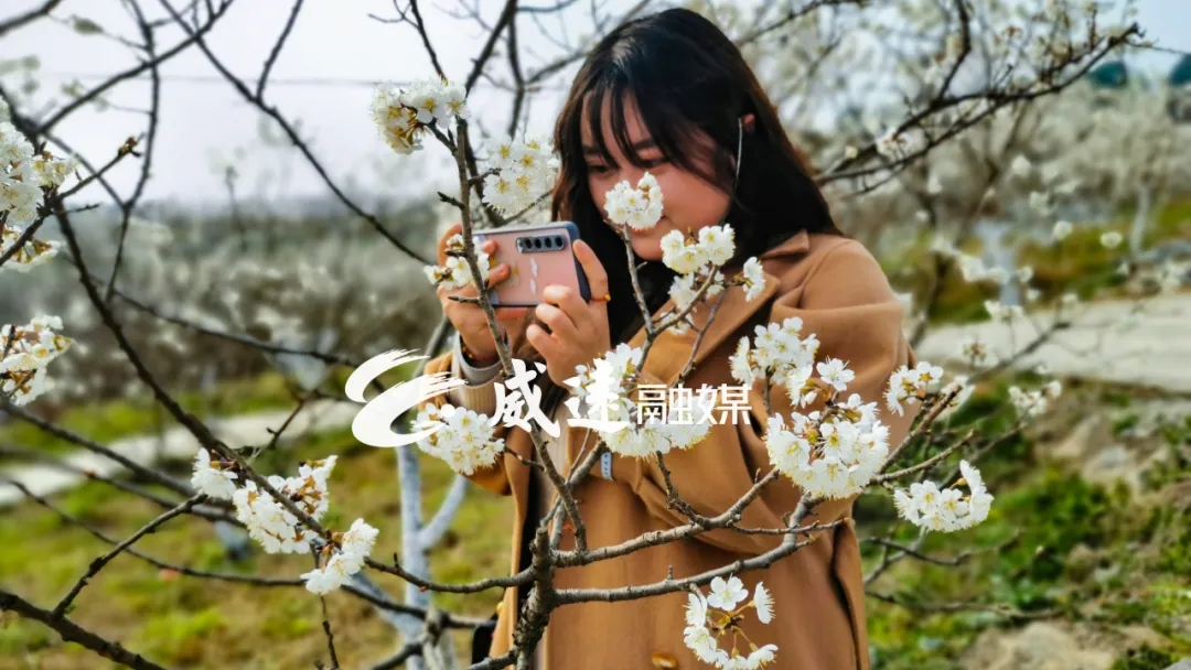 269955_1613269842625964.jpg 8.webp.jpg