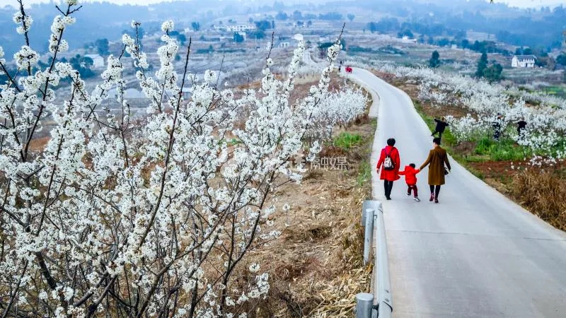 269955_1613269871164507.jpg 11.webp.jpg