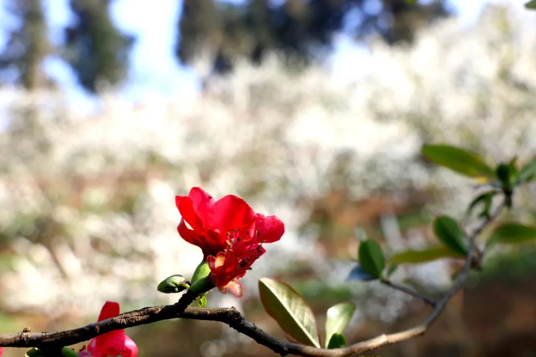 269955_1613872359540419.jpg 7.jpg