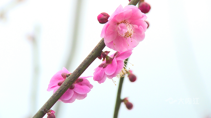 281606_1612840965758517.png QQ图片20210209111853.png