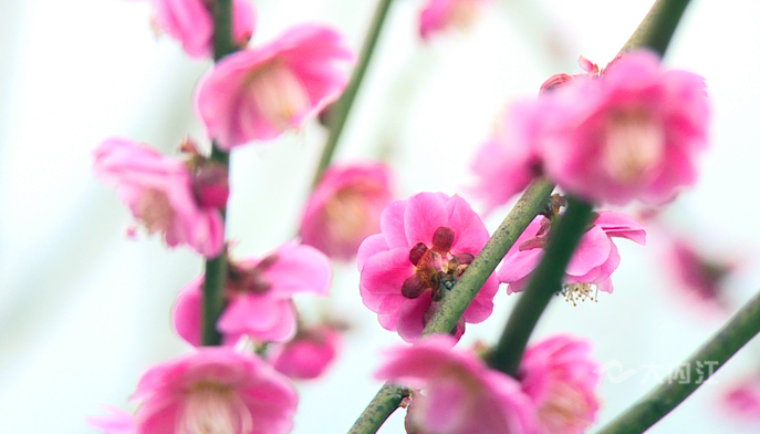 281606_1612840973632957.png QQ图片20210209111930.png