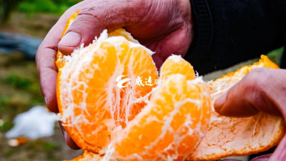 281876_1613370289275122.jpg 微信图片_20210215143224.jpg