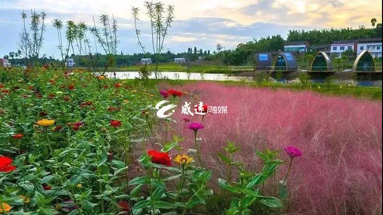 281876_1613370316910741.jpg 微信图片_20210215143238.jpg