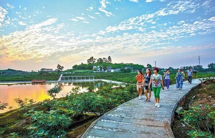 281877_1613615571993836.jpg 2.jpg