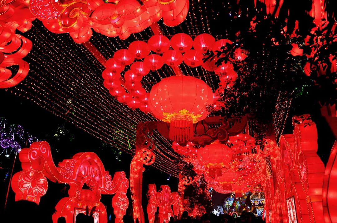 281877_1613615577291565.jpg 3.jpg