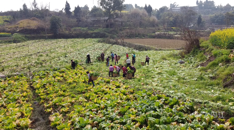 281877_1614138298555143.png QQ图片20210224114133.png