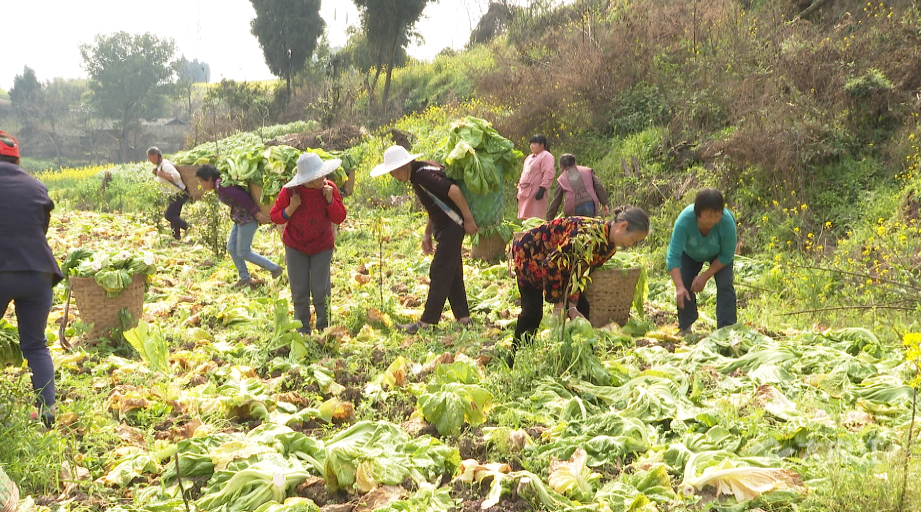 281877_1614138311199326.png QQ图片20210224114146.png