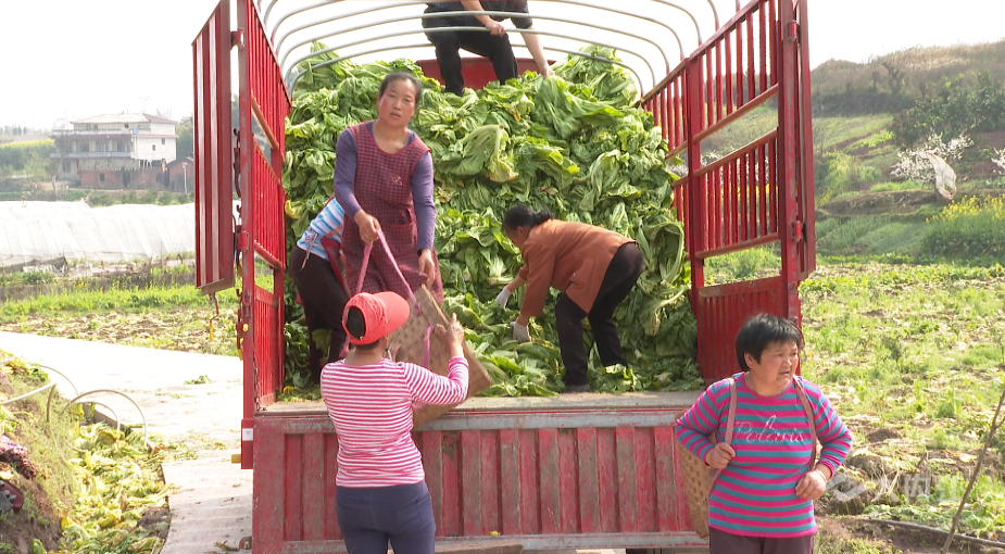 281877_1614138321459863.png QQ图片20210224114140.png