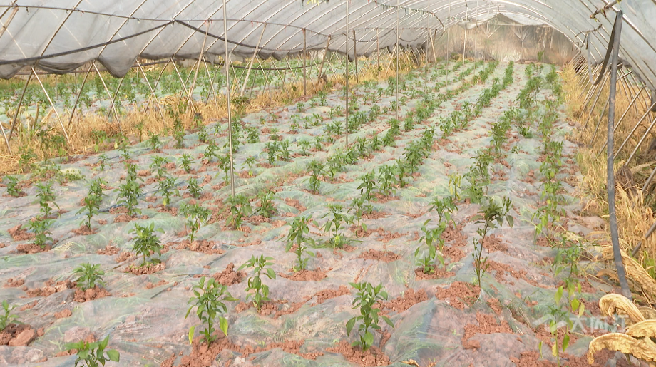 281877_1614138331880642.png QQ图片20210224114137.png