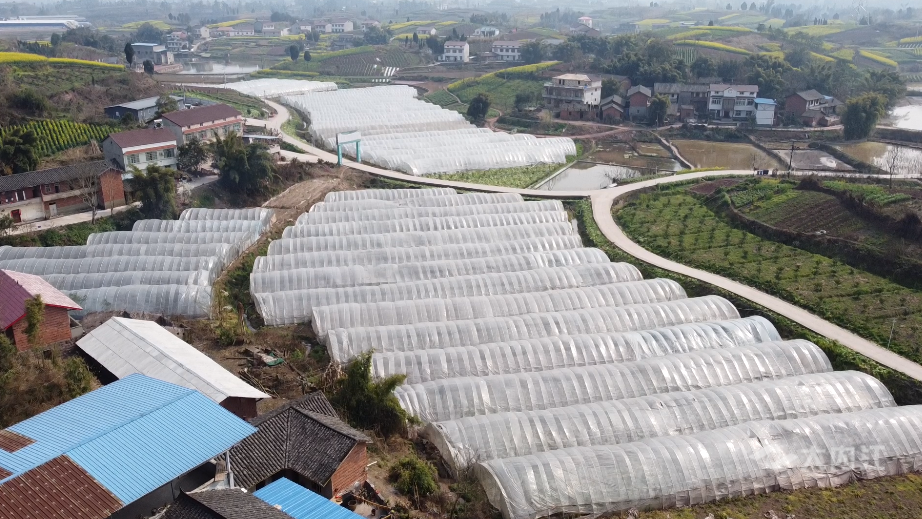 281877_1614138337350194.png QQ图片20210224114123.png