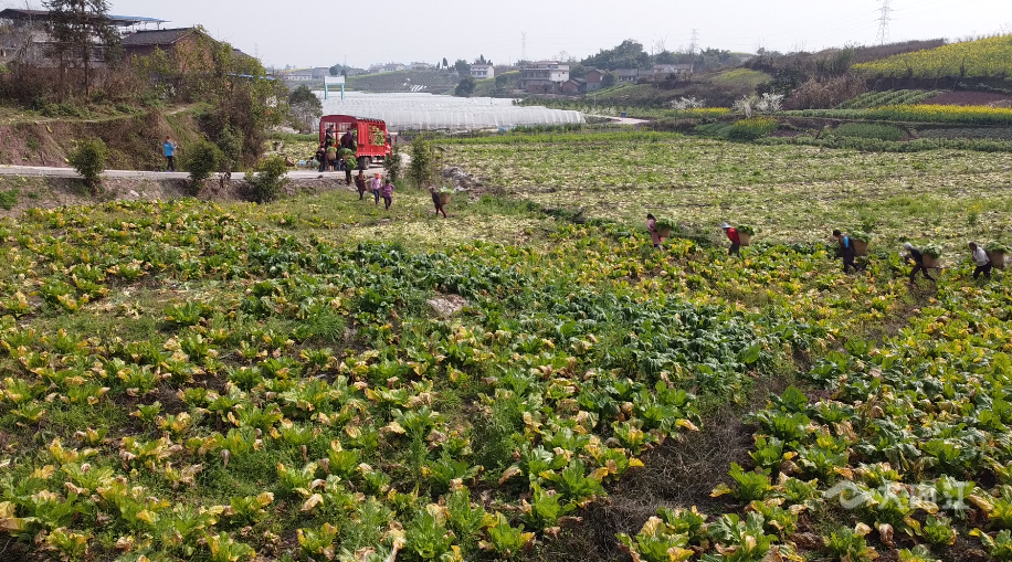 281877_1614138353646708.png QQ图片20210224114153.png