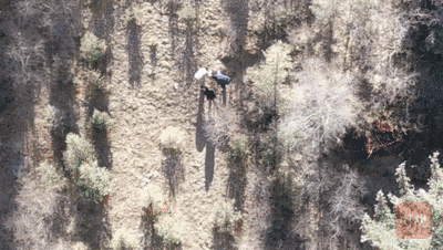 282022_1612318619127730.gif 1.gif