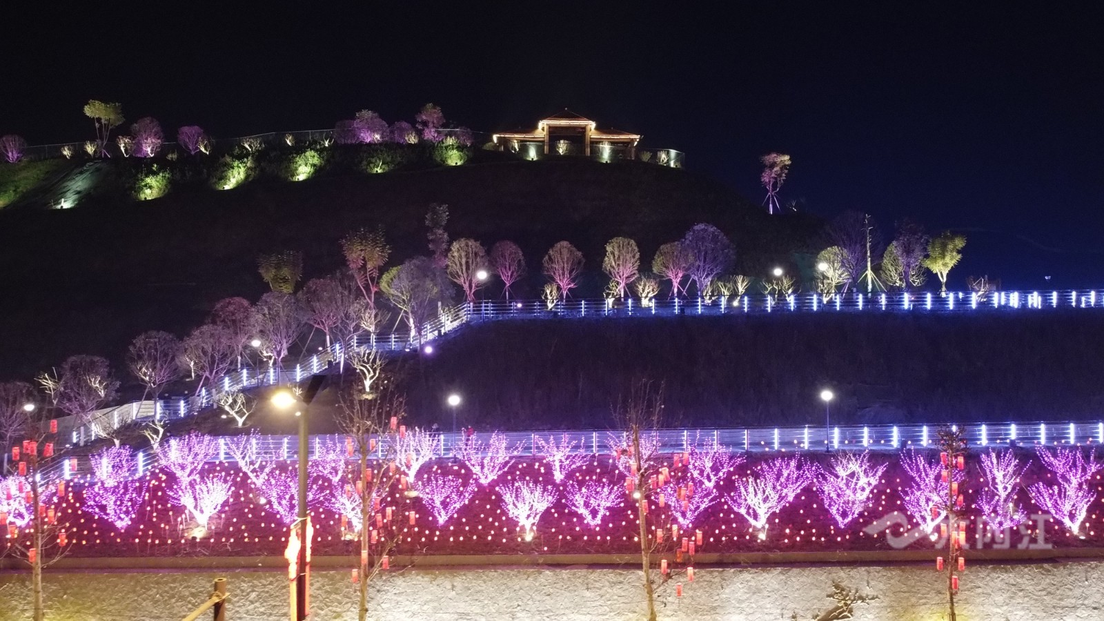 282022_1612926704910057.jpg DJI_0300.jpg