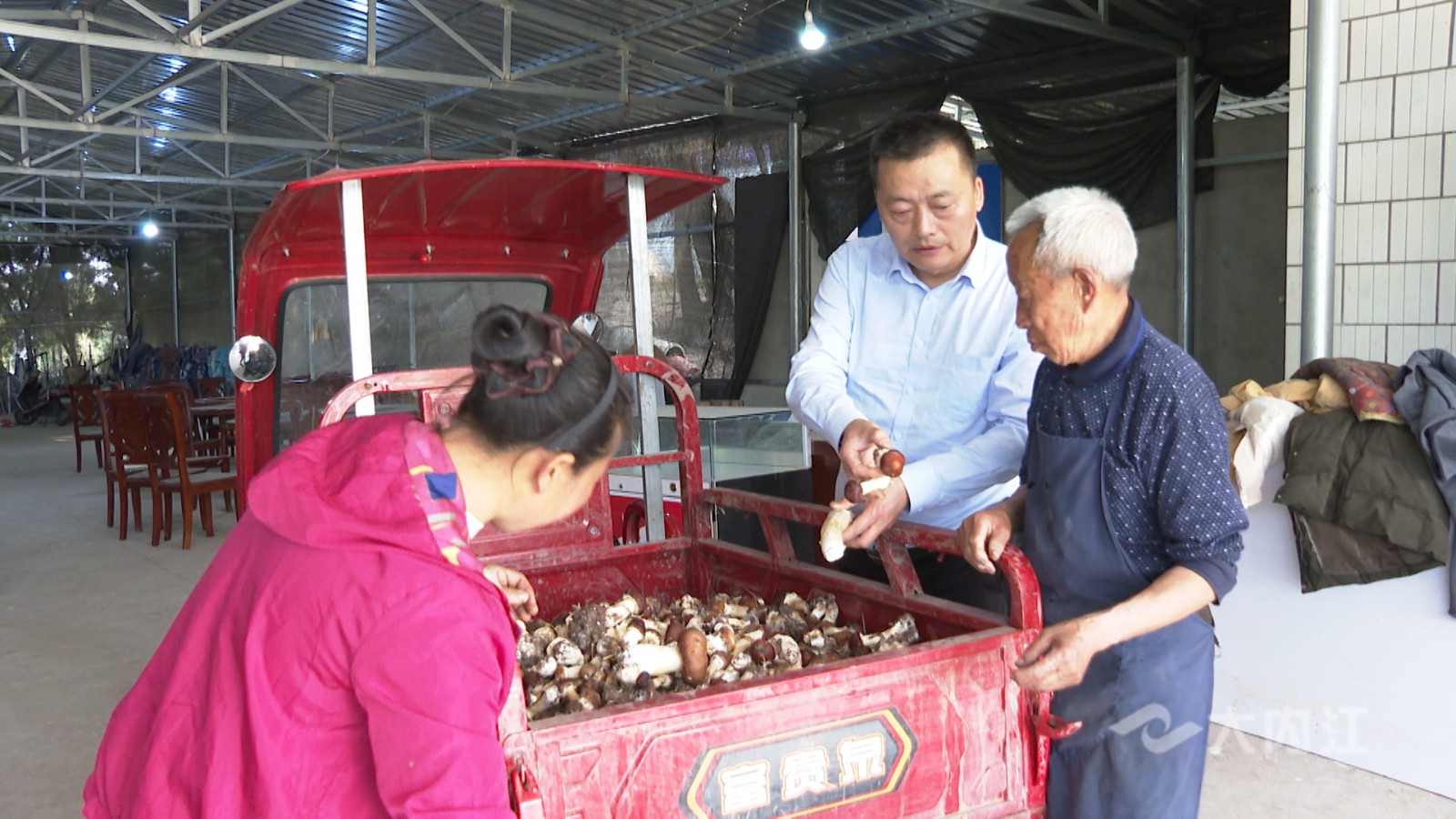 282022_1614328226851075.jpg 大球盖菇丰收9.jpg