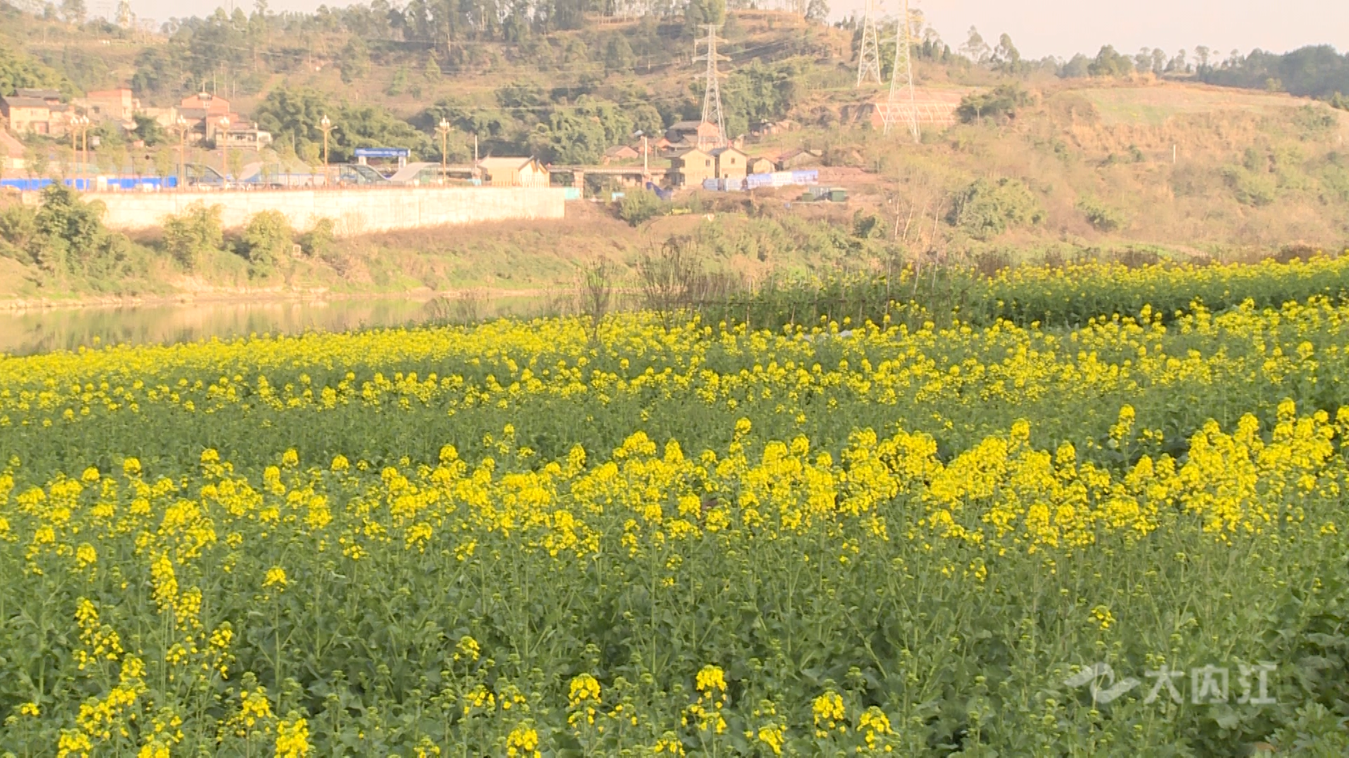 282377_1613543340303947.bmp 3.bmp