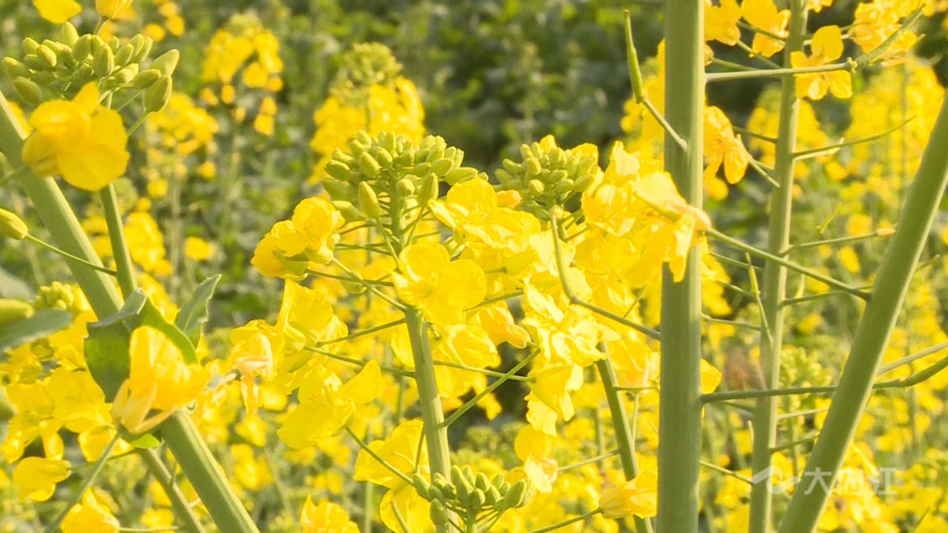 282377_1613543361168966.bmp 6.bmp