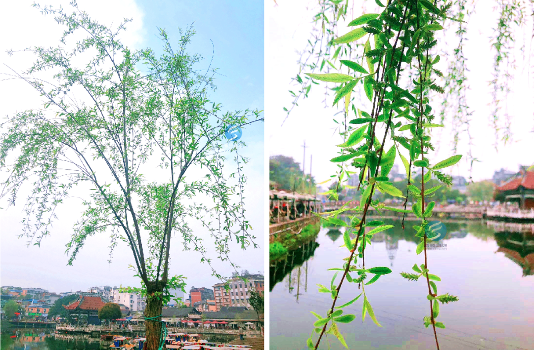 269955_1615256942935904.png 微信图片_20210309102842.png