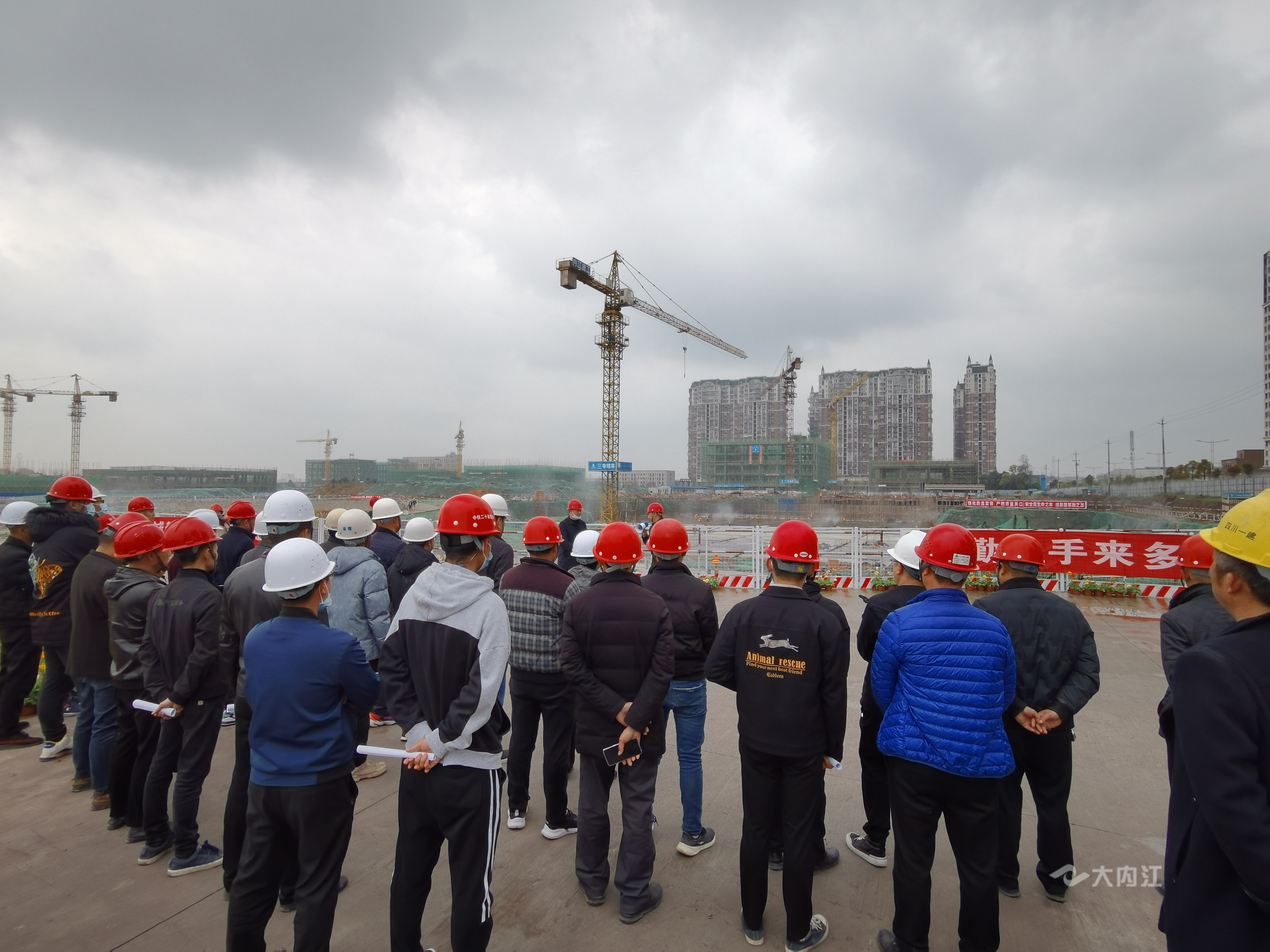 QQ图片20210310220708.jpg