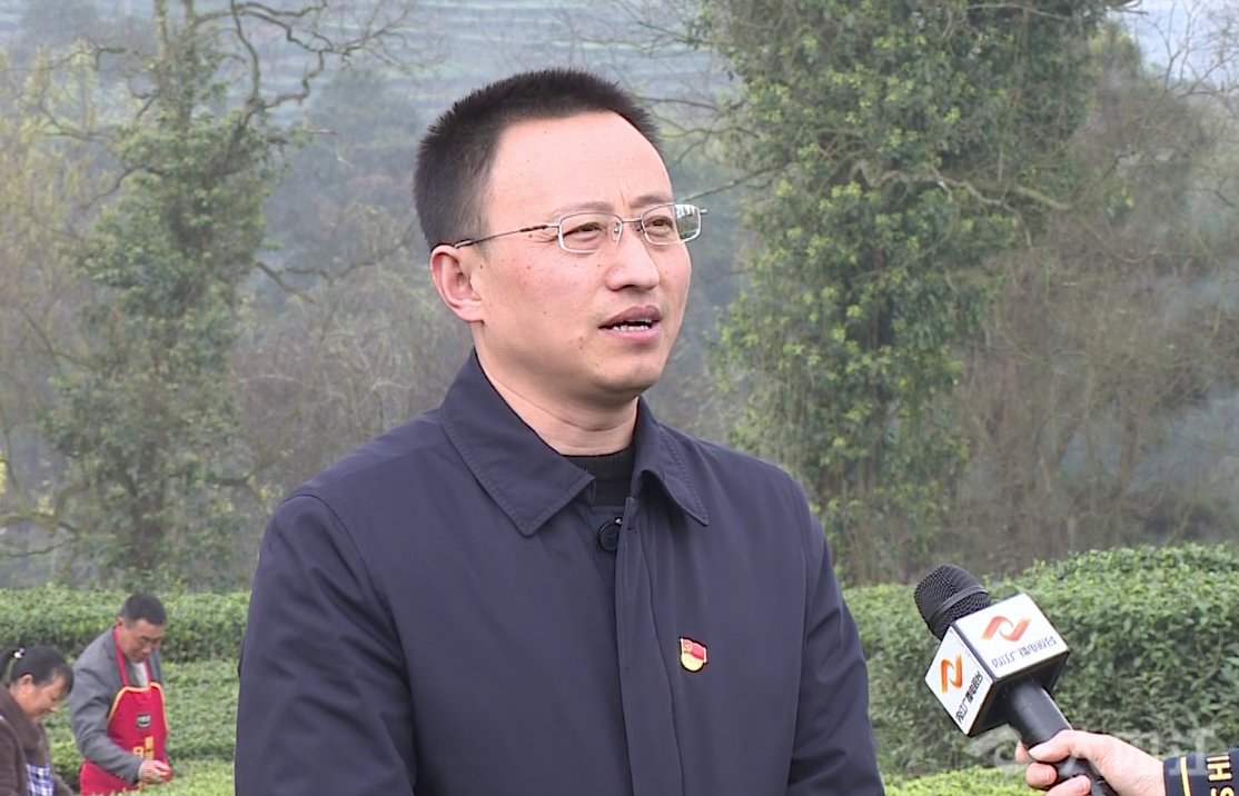 乡镇党委书记专访威远县小河镇山活业兴民富做好茶旅融合大文章