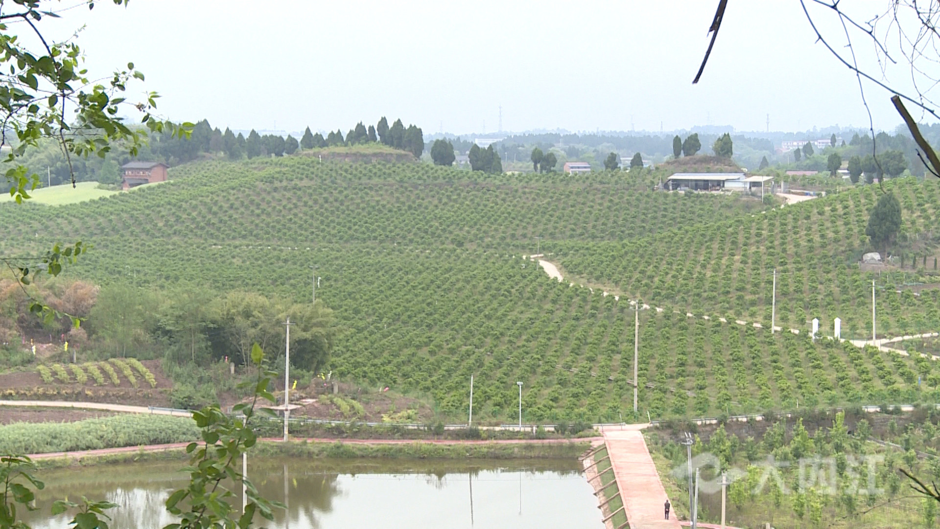 281876_1618391662590876.jpg 微信图片_20210414171347.jpg