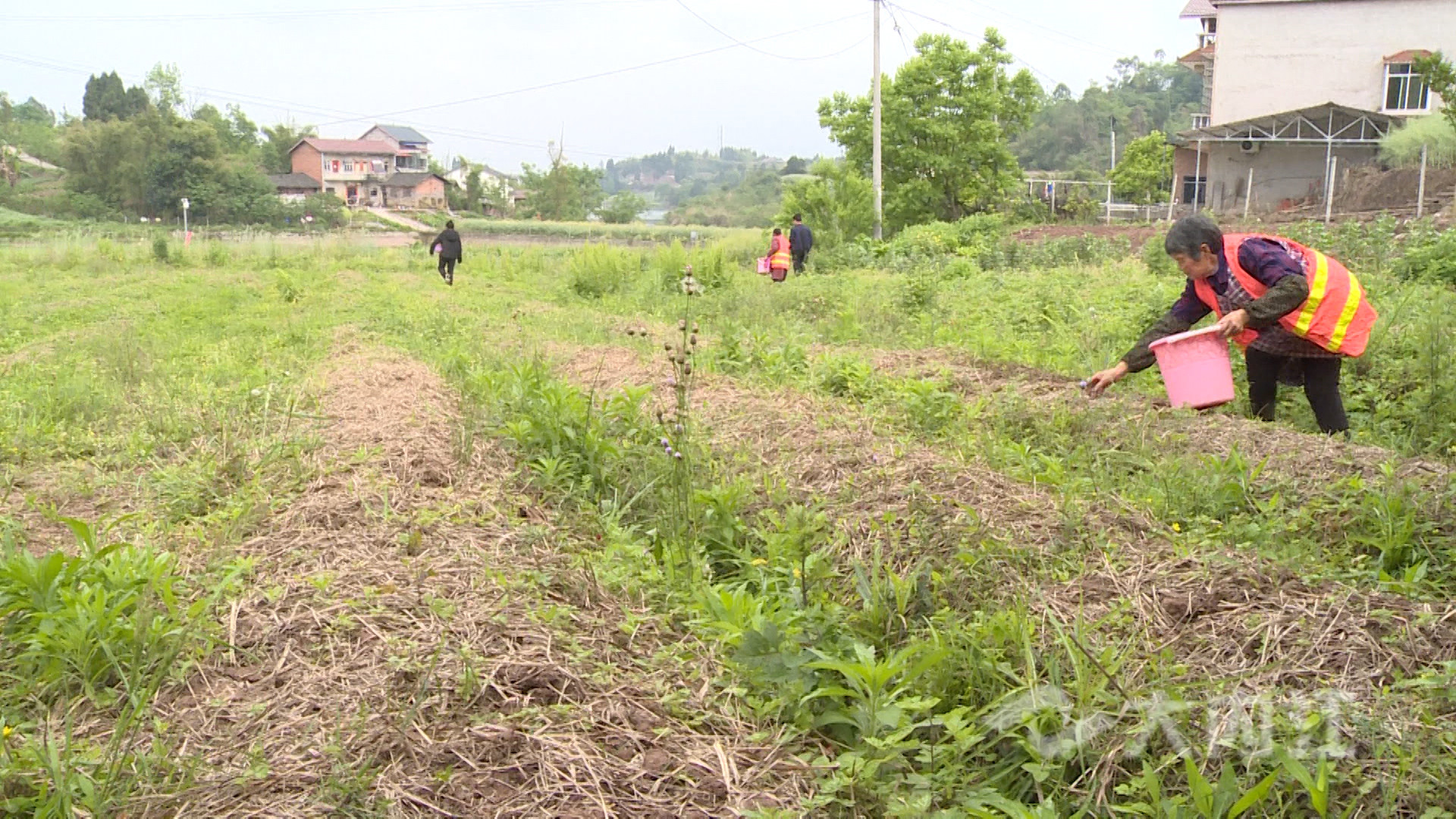 281876_1619493726243501.jpg 微信图片_20210427112132.jpg